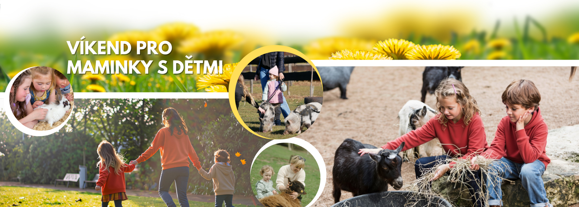 53fe463d-banner-na-web-uzsi-22.png