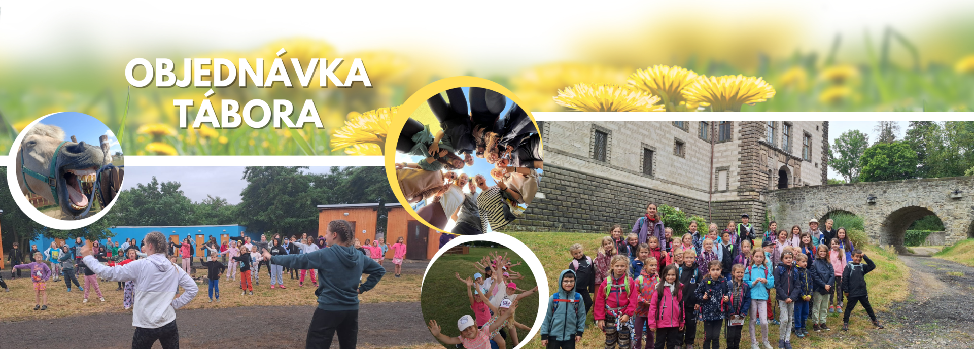 879dd111-banner-na-web-uzsi-4.png