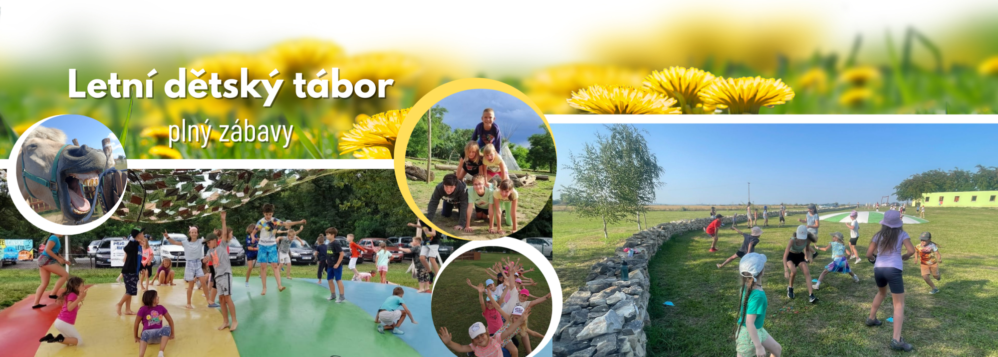 2ddb11a2-banner-na-web-uzsi-8.png