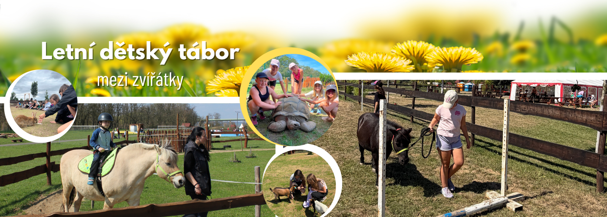 688a8ba3-banner-na-web-uzsi-30.png